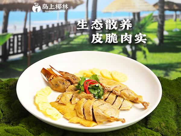 白切海棠湾坡鸭
